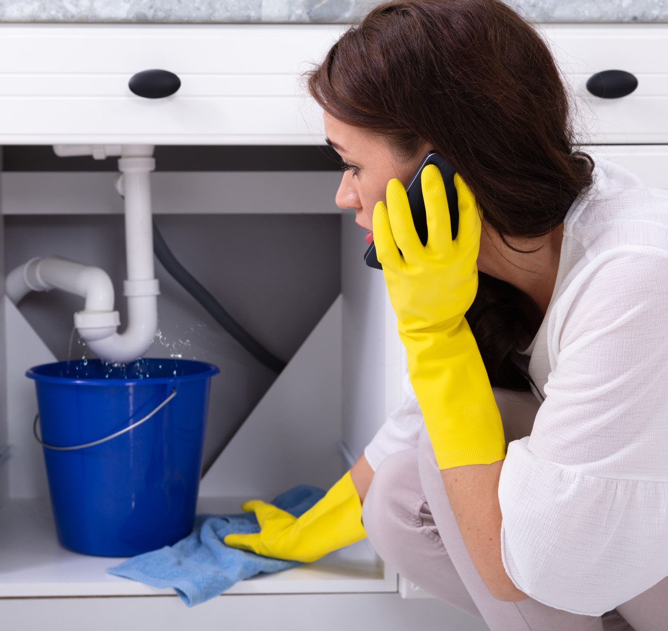 shutterstock_1303093618 (2)